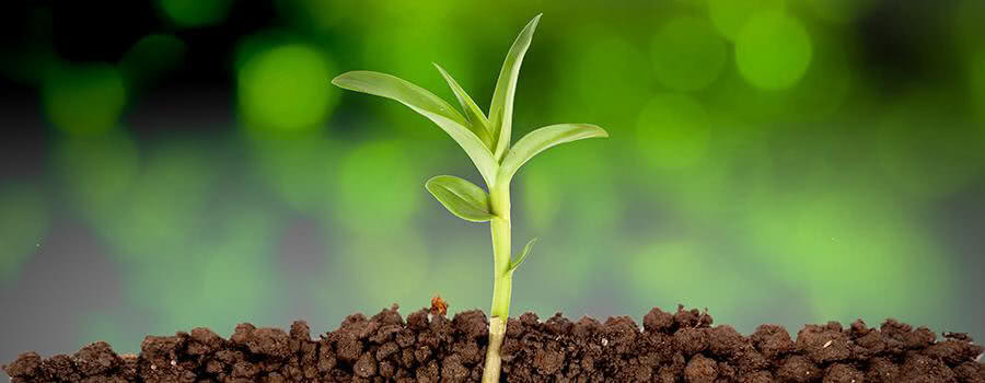 Aanbiedingen week 15