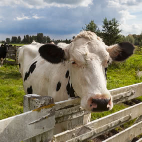 Agra totaal zorg voor de agrariër  