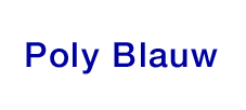 Logo-poly-blauw