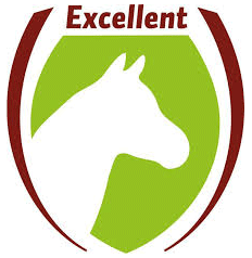 Logo-excellent