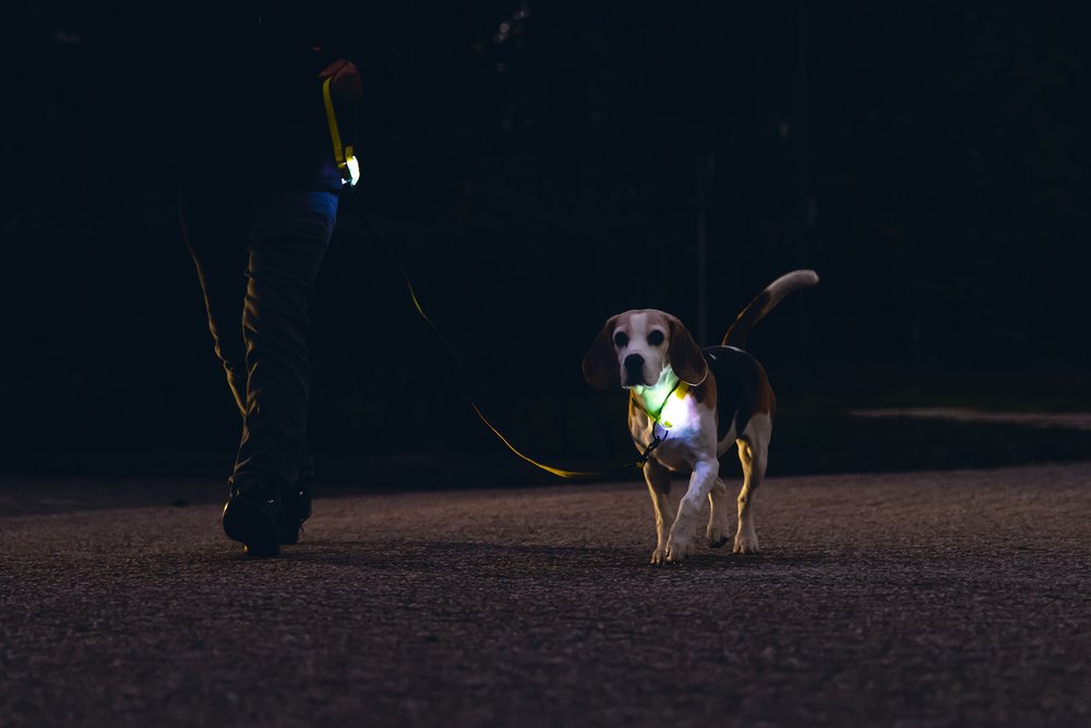 Aanbiedingen week 43